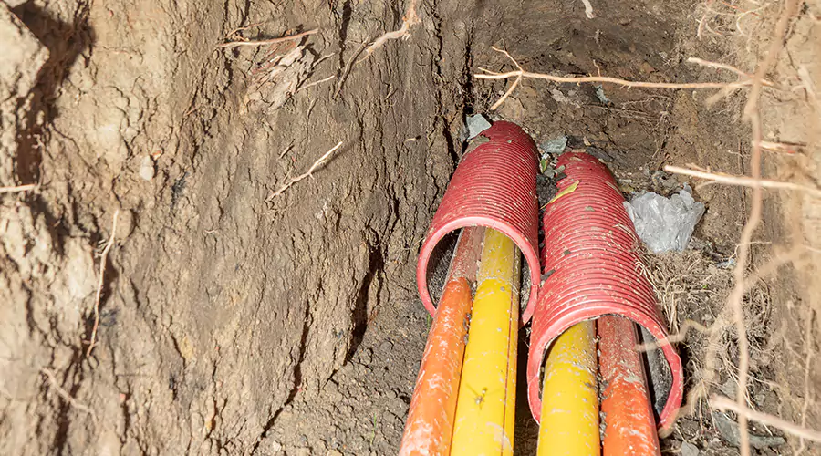 How to Protect Your Plumbing System from Tree Root Invasion