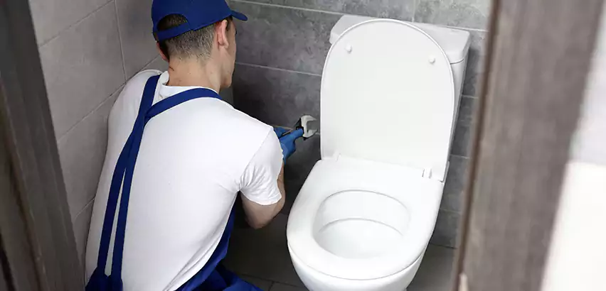 Toilet Lid Replacement in Weymouth