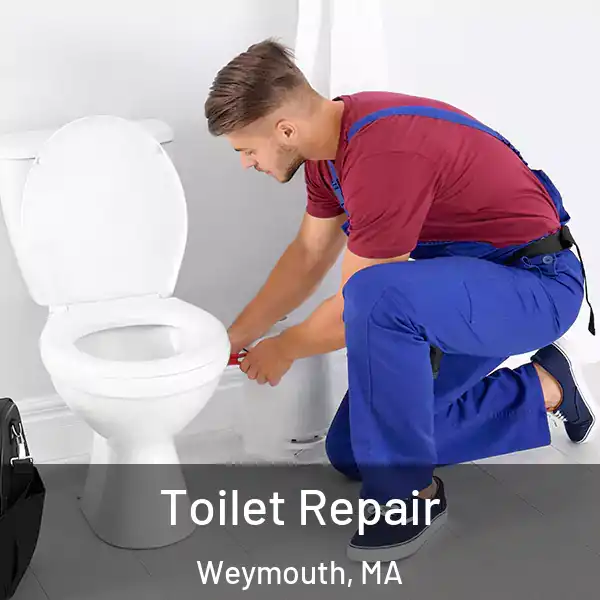  Toilet Repair Weymouth, MA
