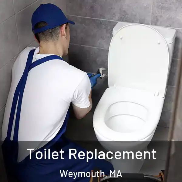  Toilet Replacement Weymouth, MA